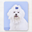 Search for maltese mouse mats Dog