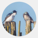 Search for gary stickers Bird