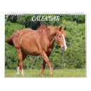 Search for chicken farm calendars Horse