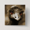 Search for ostrich square badges Cute