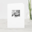 Search for american shorthair cards Animals