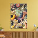 Search for underwater canvas prints Marine life