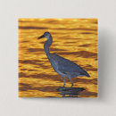 Search for heron badges Sunset