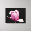 Search for bold pink photography Flower