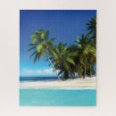 Search for exotic puzzles Ocean