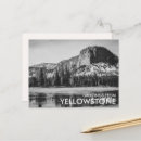 Search for yellowstone postcards Souvenir
