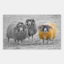 Search for rams stickers Livestock
