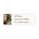 Search for giraffe return address labels Pattern