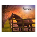 Search for paddocks posters Horses