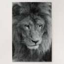 Search for male puzzles Nature