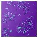 Search for light purple tiles Decorative