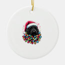 Search for doodle christmas tree decorations Dog lover