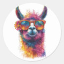 Search for cartoon llama stickers Illustration