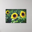 Search for trio canvas prints Flowers