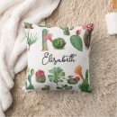 Search for succulent cushions Desert