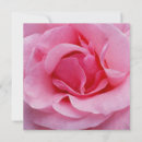 Search for closeup invitations Petal