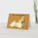 Search for cocker spaniel cards Dog