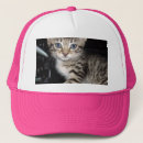 Search for grey cat hats Pet