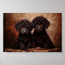 Search for poodle puppy posters Pet