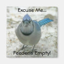 Search for feeders magnets Humour