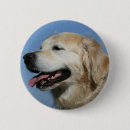 Search for dog coat badges Retriever golden