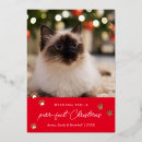 Search for dog and cat christmas cards Naughty list