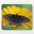 Search for spotted mouse mats Yellow