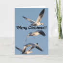 Search for geese christmas cards Nature