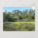 Search for marshland Florida