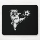 Search for kicked mouse mats Score