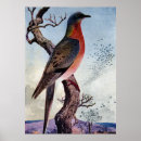 Search for flocking art Antique