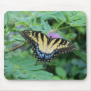 Search for tiger swallowtail mouse mats Insects