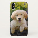 Search for golden retriever puppy iphone cases Pet