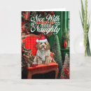 Search for cockapoo christmas cards Dogs