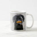 Search for animal nose mugs Animals