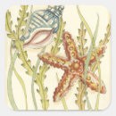 Search for large fish stickers Starfish