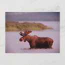 Search for alaska state postcards Lake