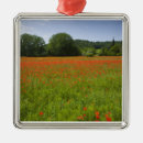 Search for agriculture christmas tree decorations Nobody