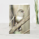 Search for junco cards Dark eyed junco