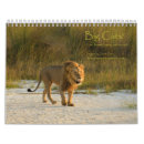 Search for cheetah calendars Lion