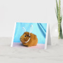 Search for pig easter cards Bunny