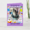 Search for cat lovers easter cards Bunny