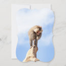 Search for monkey note cards Wildlife