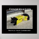 Search for motivational cat posters Kitten