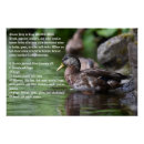 Search for waterfowl art Wildlife