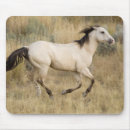 Search for prairie mouse mats Ranch