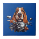 Search for cool tiles Trendy