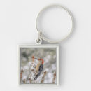 Search for woodpecker key rings Wildlife