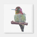 Search for anna magnets Bird