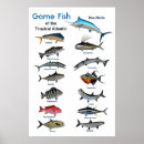 Search for games posters Nature